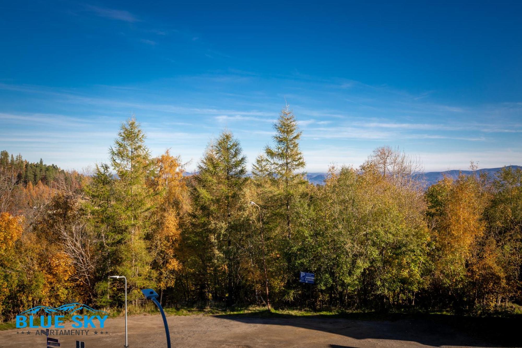Apartamenty Bluesky - Karkonoska 13, Z Widokiem Na Gory, Blisko Szlakow I Wyciagow, W Zielonej Okolicy Karpacz Camera foto